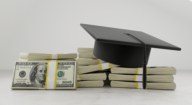 high educational fees student loans Loadem Movers